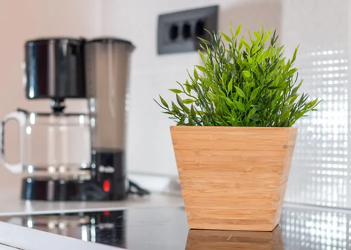 Kahlua Ξενοδοχείο με διαμερίσματα