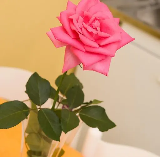 Kahlua 아파트호텔 Rhodes City